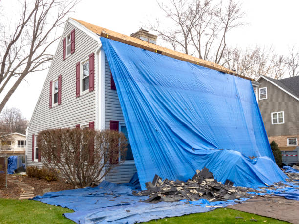 Best Engineered Wood Siding  in Linton Hall, VA