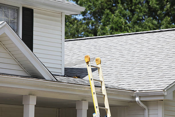 Best Fascia and Soffit Installation  in Linton Hall, VA